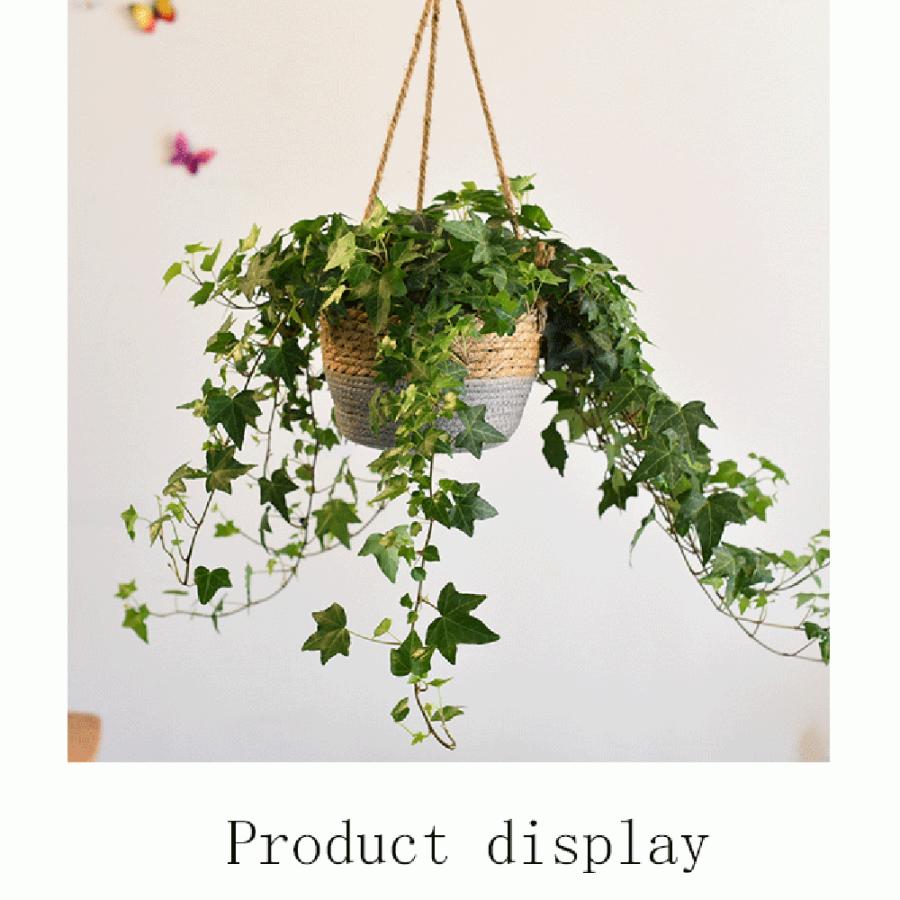 ハンギングバスケット 吊り鉢 吊り下げ 植木鉢 ハンギングプランター 観葉植物 花鉢 フラワーポット プラントハンガー 送料無料 |  | 07