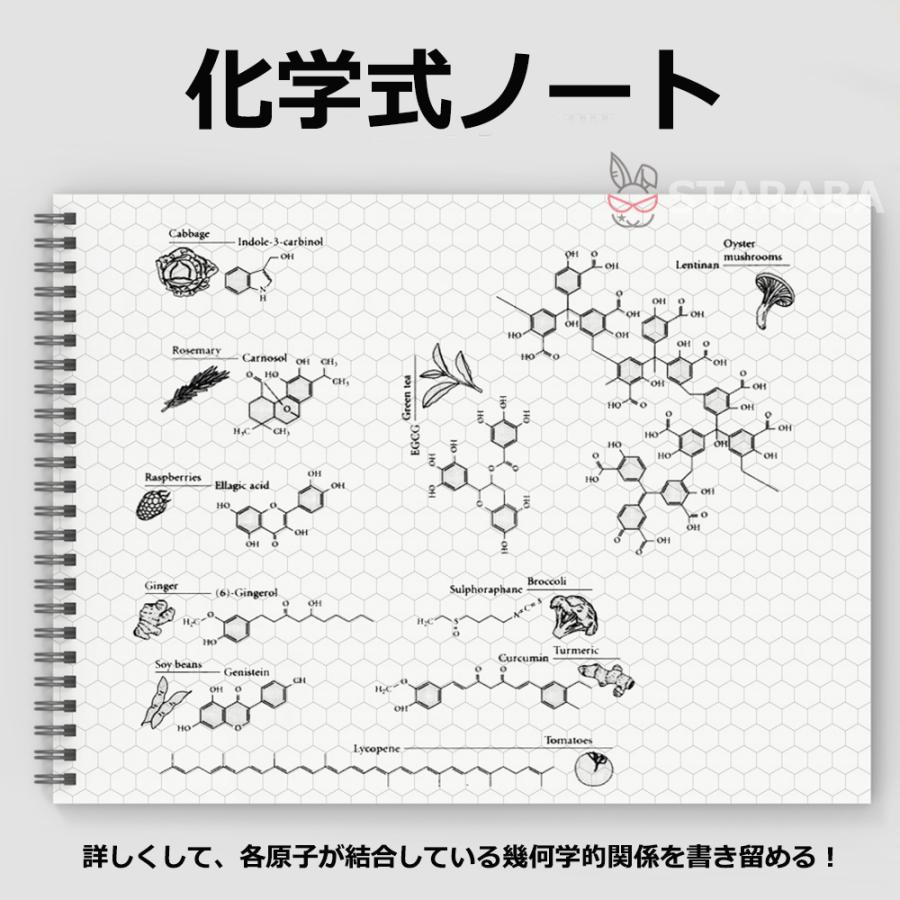 化学式ノート 構造式ノート 図式ノート 化学 分子構造ノート A4 50枚