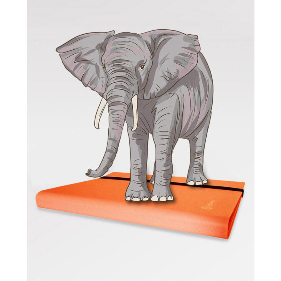 スターカードカードファイル 360枚収納 カードシート コレクションファイル カード整理&収納 ポケカ 遊戯王 デュエマ MTG トイガー 持ち運び 送料無料 |  | 06