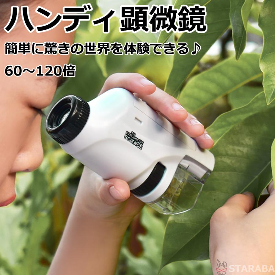 顕微鏡 子供 顕微鏡 ハンディ顕微鏡 60〜120倍 小学生 自由研究 野外観察 趣味 LEDライト内蔵 けんびきょう コンパクト 観察 送料無料 | 