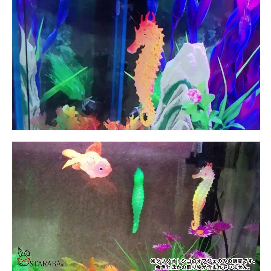 3個入り 水槽オブジェ タツノオトシゴ 吸盤付き 発光効果 蛍光  