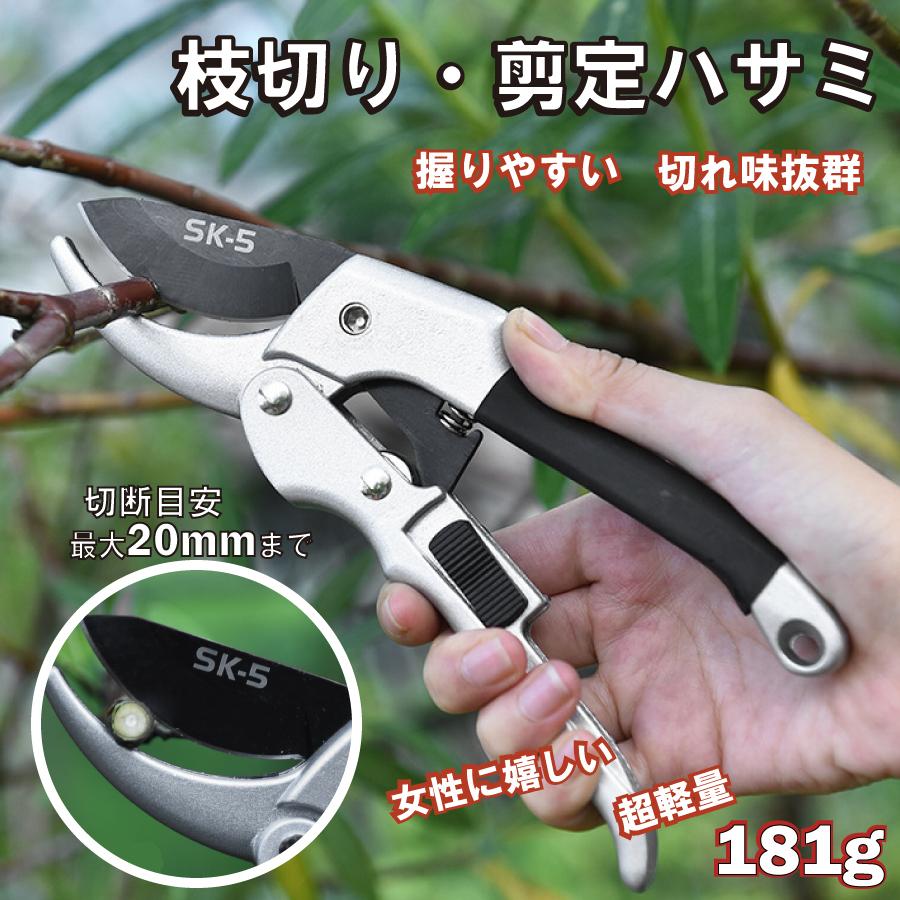 剪定ばさみ はさみ ハサミ 庭 ガーデン 園芸 枝切り 安い 作業 クリックポスト 庭木 枝切りばさみ 送料無料 ロック