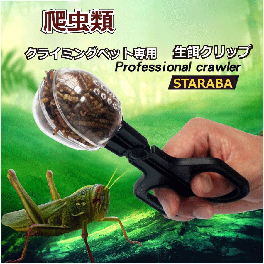 カメレオン の 餌