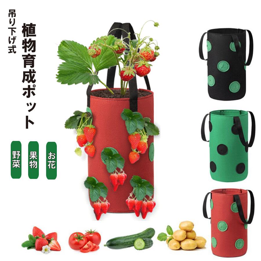 栽培ポット 吊下げ 苗 栽培 菜園 プランター 屋内 植物 観葉植物 野菜 育てる プレゼント イチゴ 送料無料 Yk352 Staraba 通販 Yahoo ショッピング