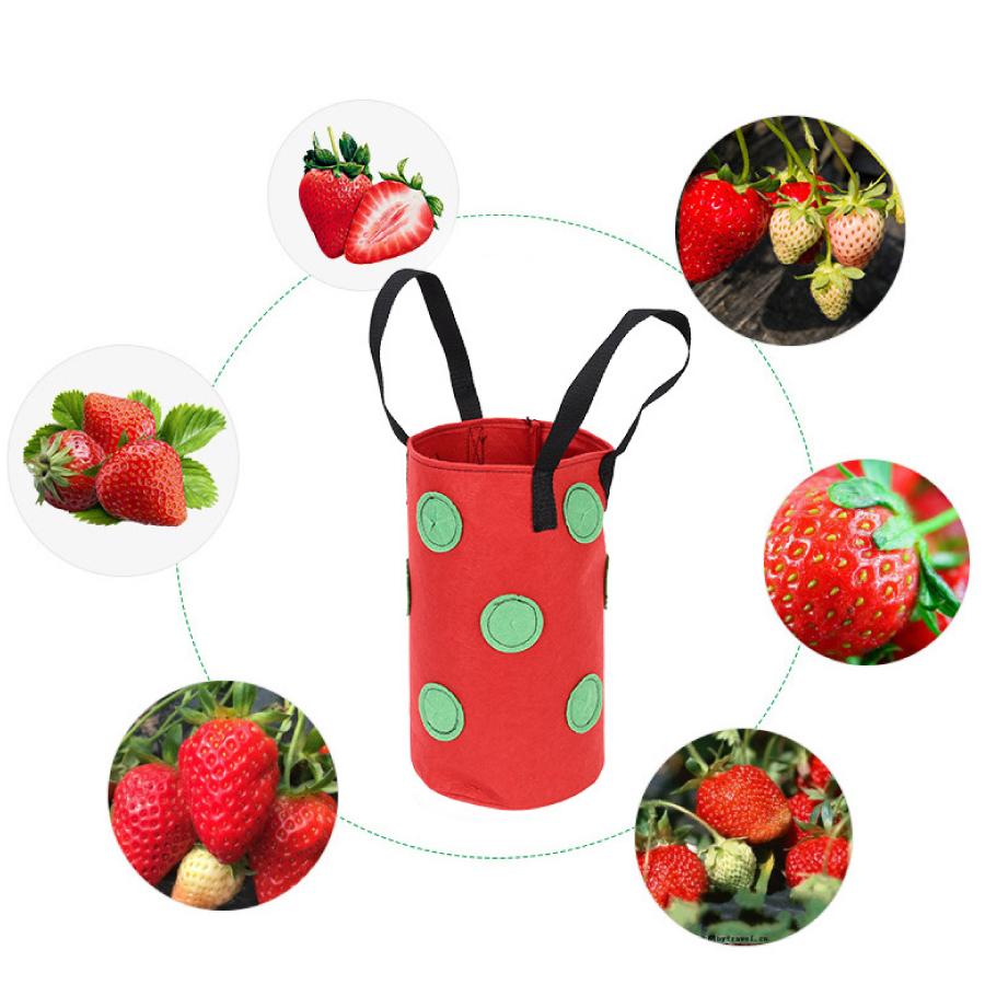 栽培ポット 吊下げ 苗 栽培 菜園 プランター 屋内 植物 観葉植物 野菜 育てる プレゼント イチゴ 送料無料 Yk352 Staraba 通販 Yahoo ショッピング