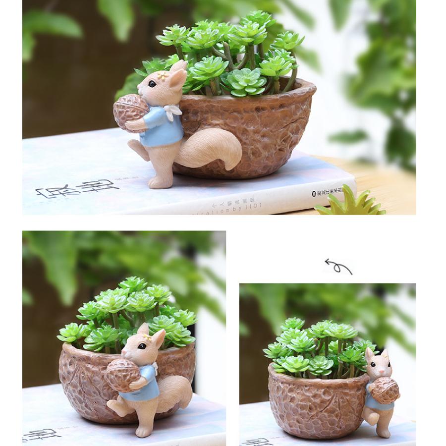中古 植木鉢 リス りす 母の日 ガーデニングオブジェ 鉢植え フラワープランター 多肉植物 サボテン ミニ プランター おしゃれ 可愛い 送料無料 Thisissesame Com