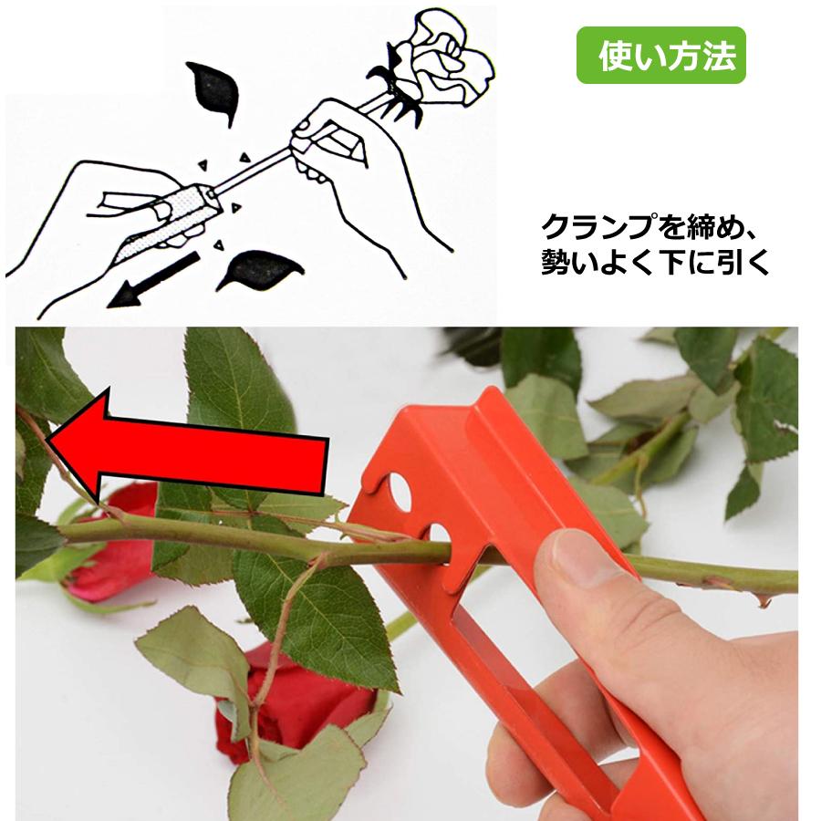 バラ とげぬき とげ取り 2種類セット 刺抜き とげ トゲ 棘 ばら 薔薇 ローズ ガーデニング 剪定 バラ園 花束 作業 安全 庭 ガーデン ...