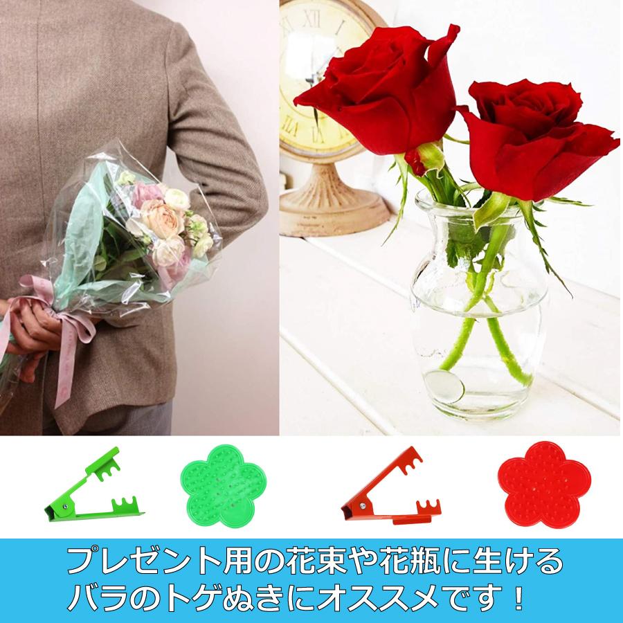 バラ とげぬき とげ取り 2種類セット 刺抜き とげ トゲ 棘 ばら 薔薇 ローズ ガーデニング 剪定 バラ園 花束 作業 安全 庭 ガーデン メール便 送料無料 Yk478 Staraba 通販 Yahoo ショッピング