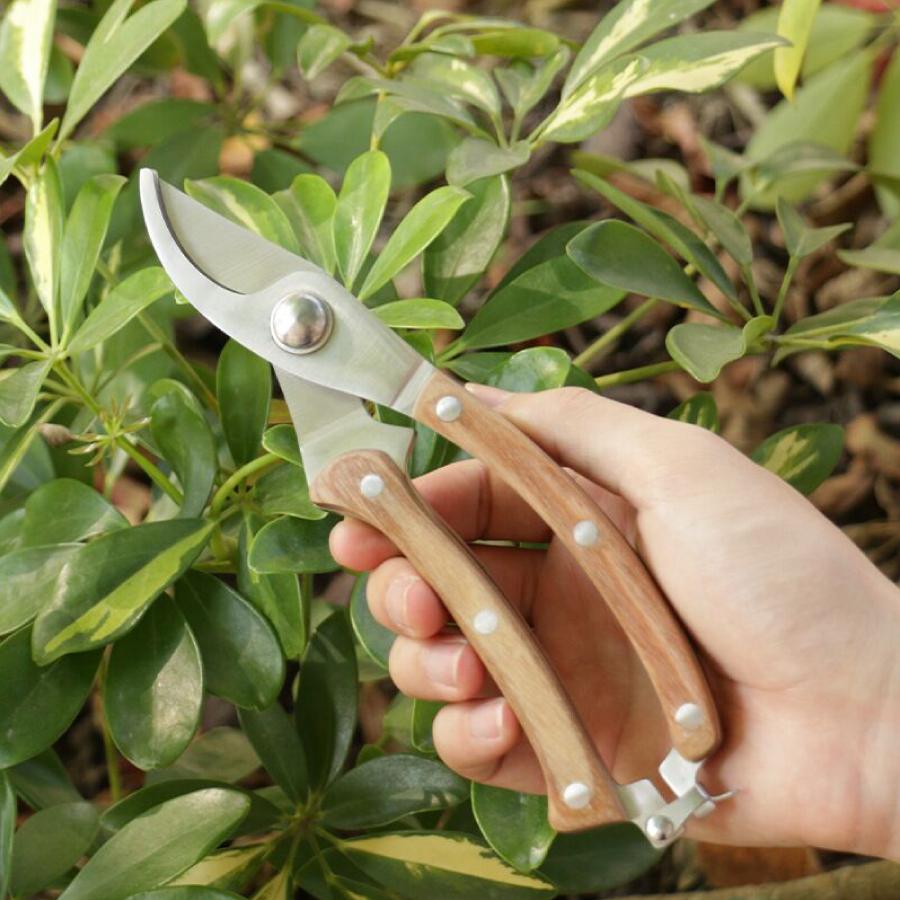 剪定ばさみ 木製ハンドル オシャレ ハサミ 庭 ガーデン 園芸 枝切り 枝