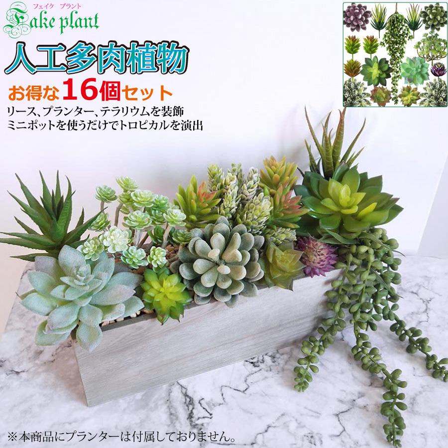 人工多肉植物 フェイクグリーン 16個セット 鉢植え リアル 装飾用 フェイク植物 人工アロエサボテン 多肉植物 茎 フェイク多肉植物 送料無料 Yk495 Staraba 通販 Yahoo ショッピング