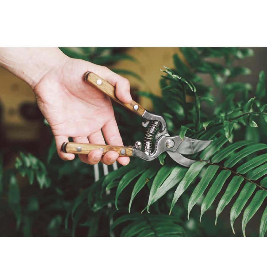 剪定ばさみ 木製ハンドル 切断目安 30mm オシャレ ハサミ 庭 ガーデン