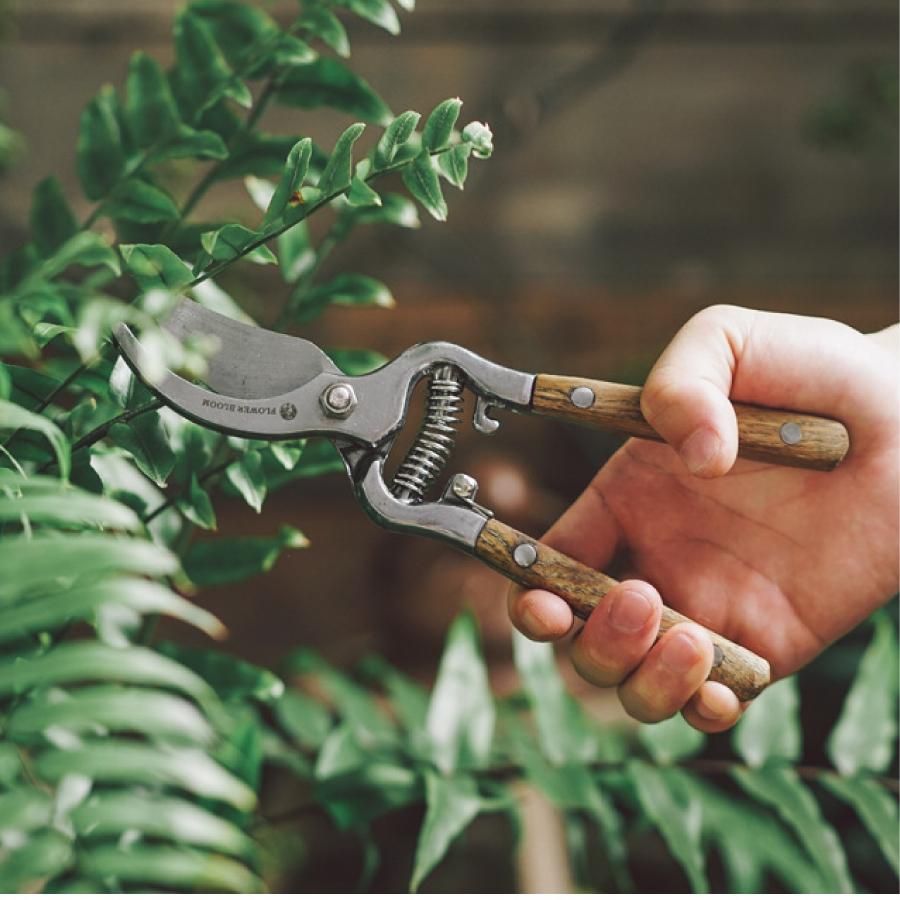 剪定ばさみ 木製ハンドル 切断目安 30mm オシャレ ハサミ 庭 ガーデン