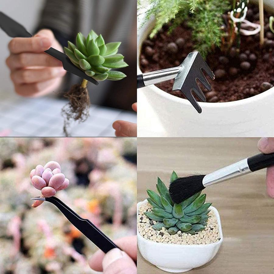 ガーデニング ミニツール 15点セット 多肉植物 観葉植物 室内 園芸用品 寄せ植え 多用途組み合わせ ハンドスコップ ミニチュアガーデン 送料無料 Staraba プレゼント ギフトのギフトモール 多肉植物のための15ミニガーデンツールのセット Ciudaddelmaizslp Gob Mx