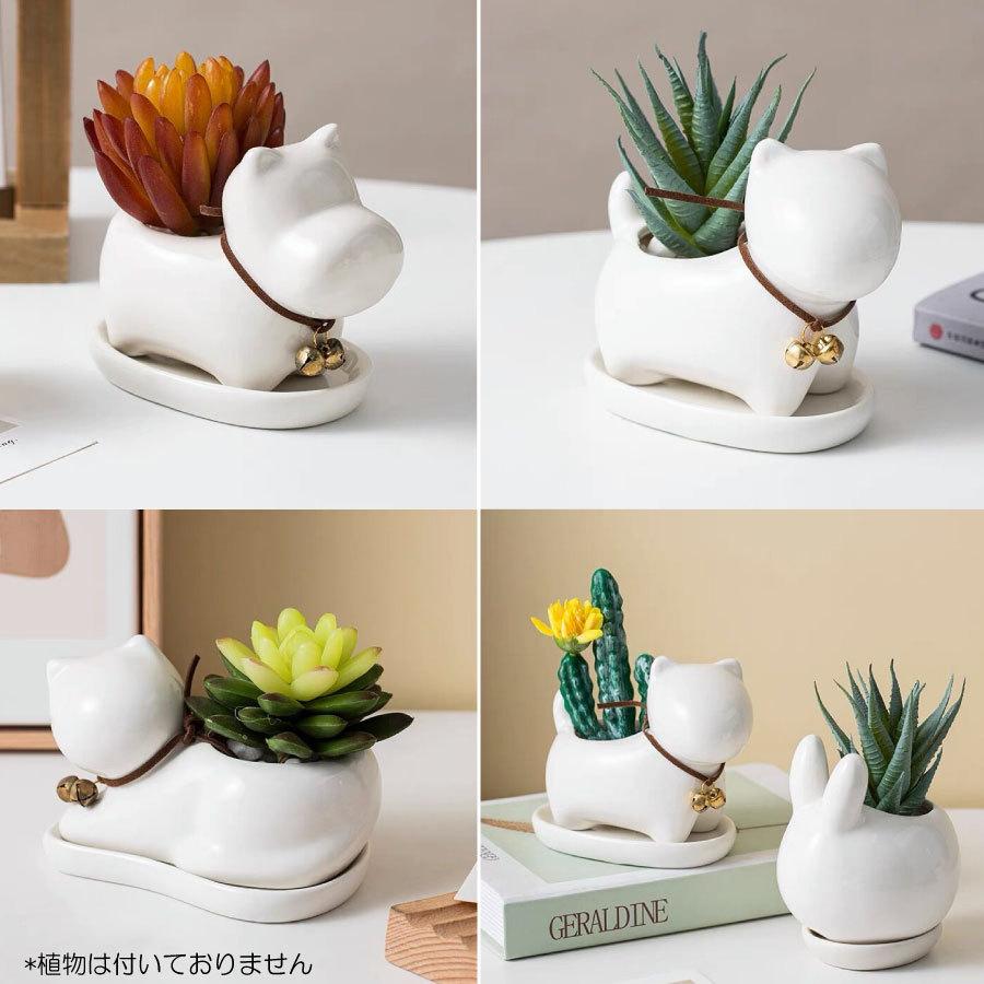 ミニ プランター 植木鉢 多肉植物鉢 サボテン セラミック トレー付き