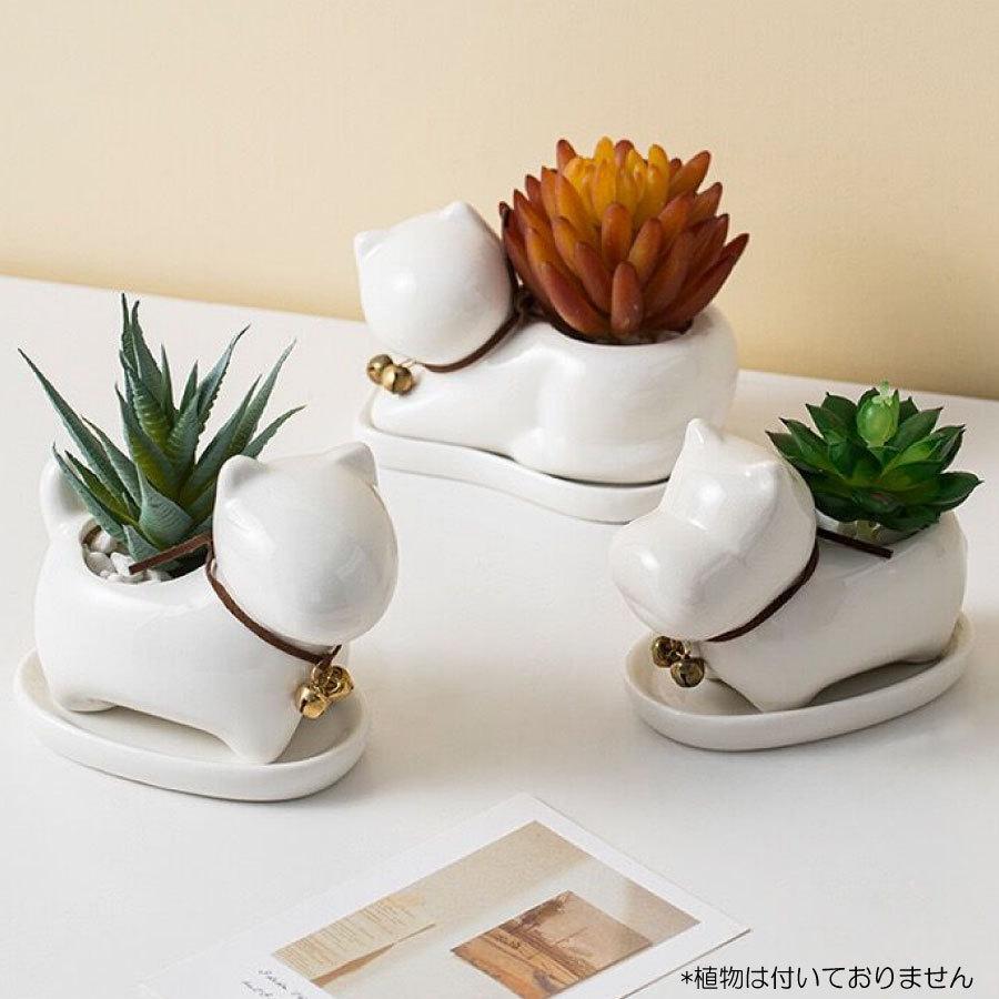 ミニ プランター 植木鉢 多肉植物鉢 サボテン セラミック トレー付き