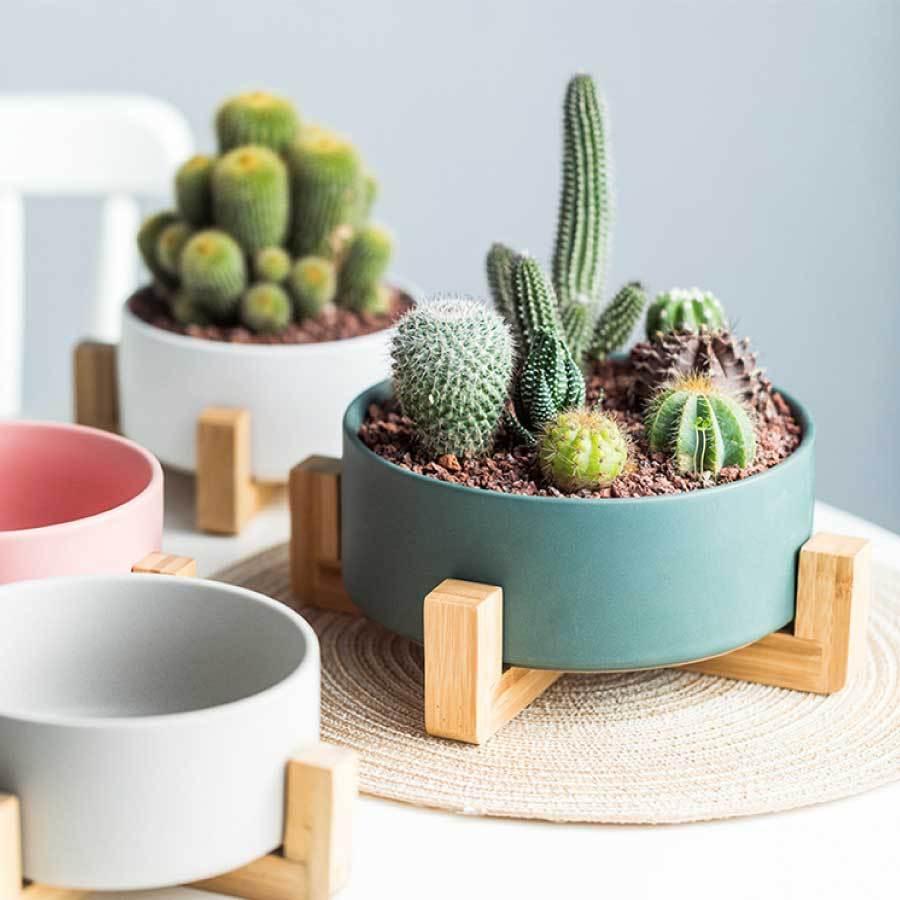 寄せ植え 植木鉢 プランタ 鉢 多肉植物鉢 サボテン鉢 竹トレー付き