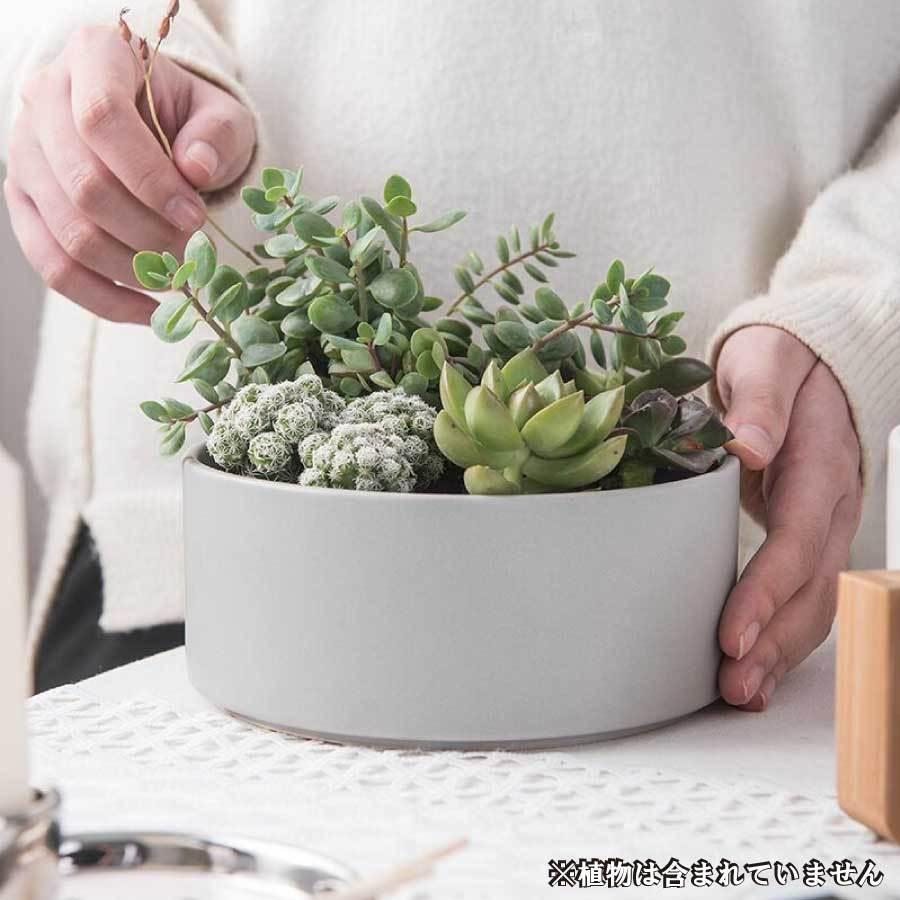 安売り 可愛い植木鉢 多肉植物 多肉鉢 ガーデニング 陶器 脚付き 寄せ