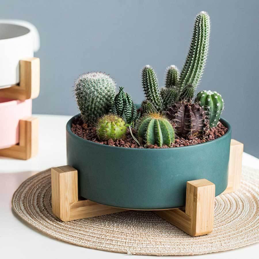 寄せ植え 植木鉢 プランタ 鉢 多肉植物鉢 サボテン鉢 竹トレー付き