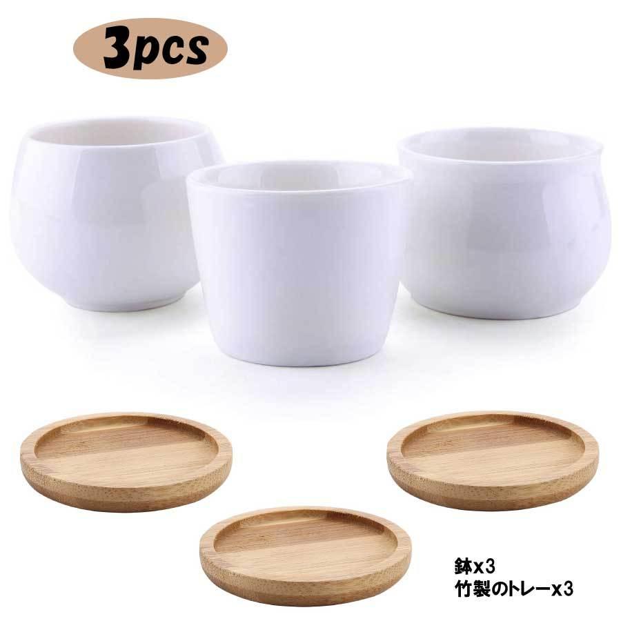 3点セット 多肉植木鉢 陶器鉢 サボテン ミニ鉢 観葉植物ポット