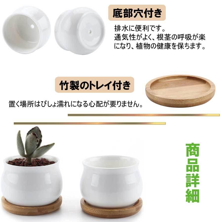 3点セット 多肉植木鉢 陶器鉢 サボテン ミニ鉢 観葉植物ポット