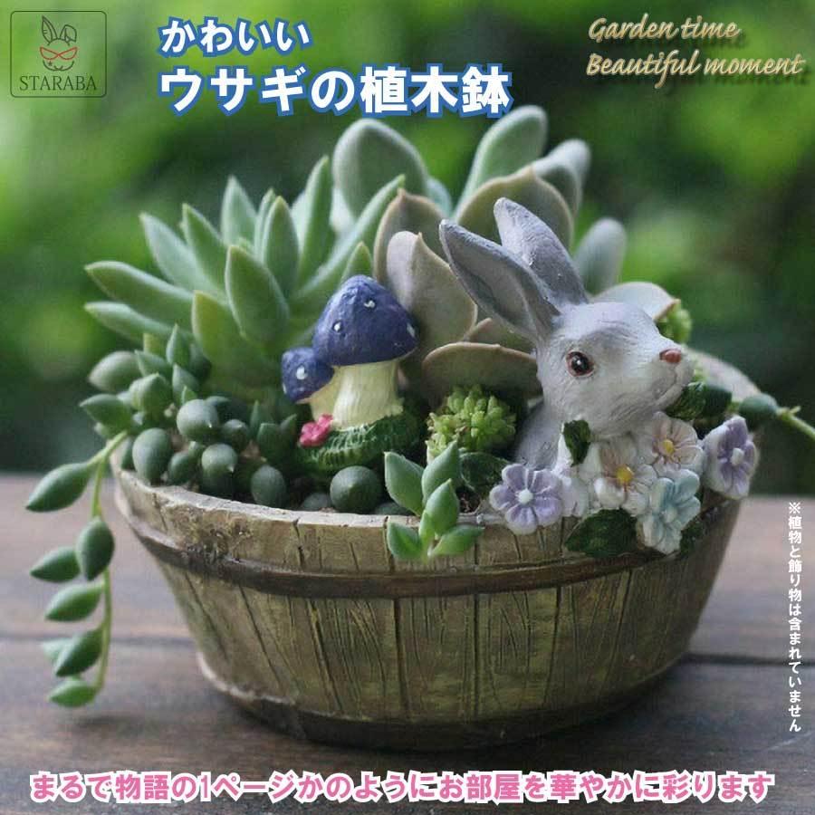 植木鉢 母の日 うさぎ ガーデニングオブジェ 鉢植え サボテン かわいい