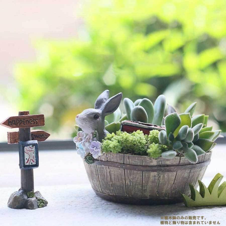 植木鉢 母の日 うさぎ ガーデニングオブジェ 鉢植え サボテン かわいい