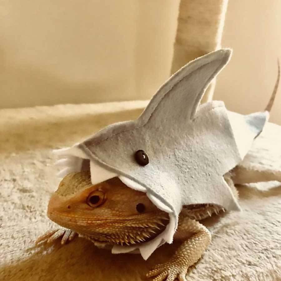 トカゲ 衣装 コスプレ コスチューム おもしろい 珍しい 服 爬虫類 