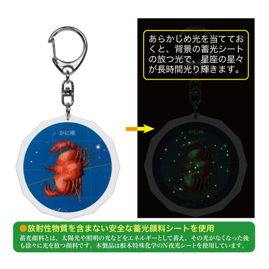 星座早見付 星座キーホルダー かに座 : 星座天文館 - 通販