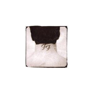 輸入盤 FOO FIGHTERS / THERE IS NOTHING LEFT TO LOSE [CD]｜starclub