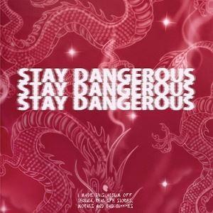 輸入盤 YG / STAY DANGEROUS [2LP]｜starclub