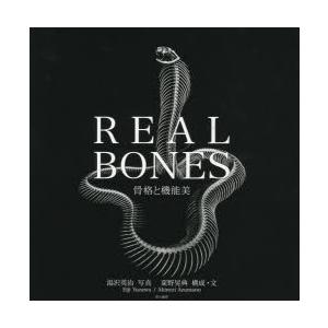 REAL BONES 骨格と機能美｜starclub