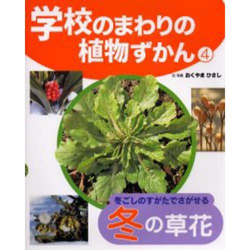 学校のまわりの植物ずかん 4｜starclub