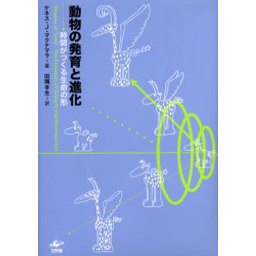 動物の発育と進化 時間がつくる生命の形｜starclub