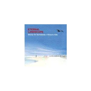 Skoop On Somebody＋織田哲郎 / ETERNAL LANDSCAPE [CD]