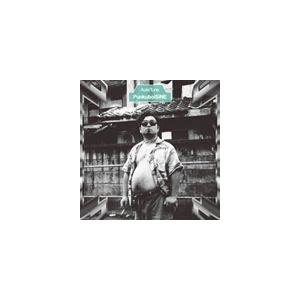 プンクボイシネ / オートチューン [CD] | 