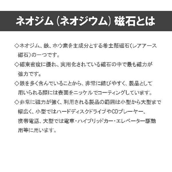 ネオジム磁石 ネオジウム磁石 10個セット 20mm×10mm×2mm 長方形 超強力