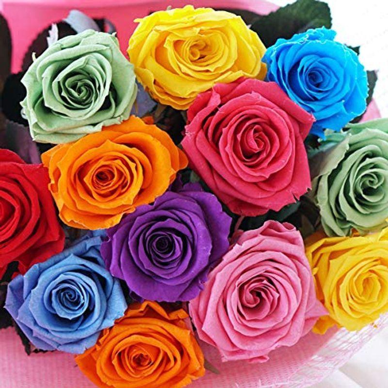 オンラインディスカウントアウトレットストア 花 まりか プリザーブドフラワー 花束 プロポーズ ダーズンローズ 12本 バラ レインボー 安いアウトレット店 Dev Regionalversorger At