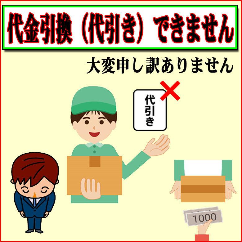 KIKS TYO（キックスティーワイオー） kikstyo tシャツ KIKSTYO Cocoro