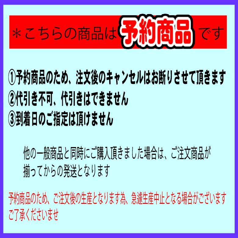 KIKS TYO（キックスティーワイオー） kikstyo tシャツ 予約商品