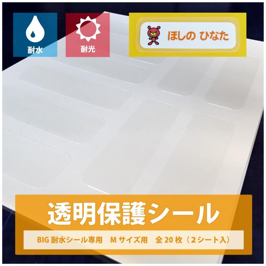 透明保護シール BIG耐水シール専用 Mサイズ20枚 : スターレーベル