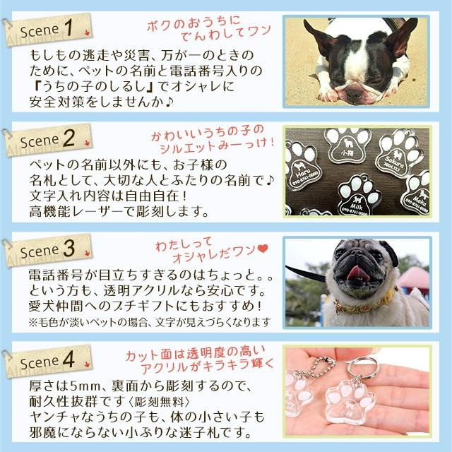 敬老の日 プレゼント 3個セット 名入れ キーホルダー 迷子札 アクリル ペット 名前 名入れ無料 送料無料 名入り 名前入り プレゼント スターランド Name033 Set 名入れ工房 Starland 通販 Yahoo ショッピング
