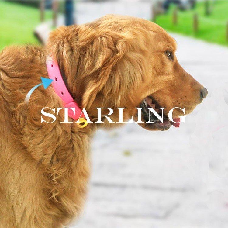 送料無料ノミとり 蚊よけ首輪 ノミ取り 首輪 犬用 猫用 小型犬用 中型犬 首輪タイプ 犬用品 ペット消臭剤 衛生用品 防虫 虫除け用品 22z Starling 通販 Yahoo ショッピング