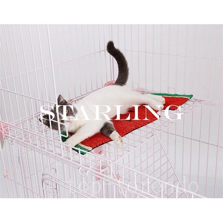 大割引 プロバイオ デンタル 60粒 3袋 バニラ味 プレミアモード Z ペット フード 犬 ドッグ 猫 キャット 善玉菌 サプリメント 粉末 口臭 歯垢 国産 送料無料 Fucoa Cl