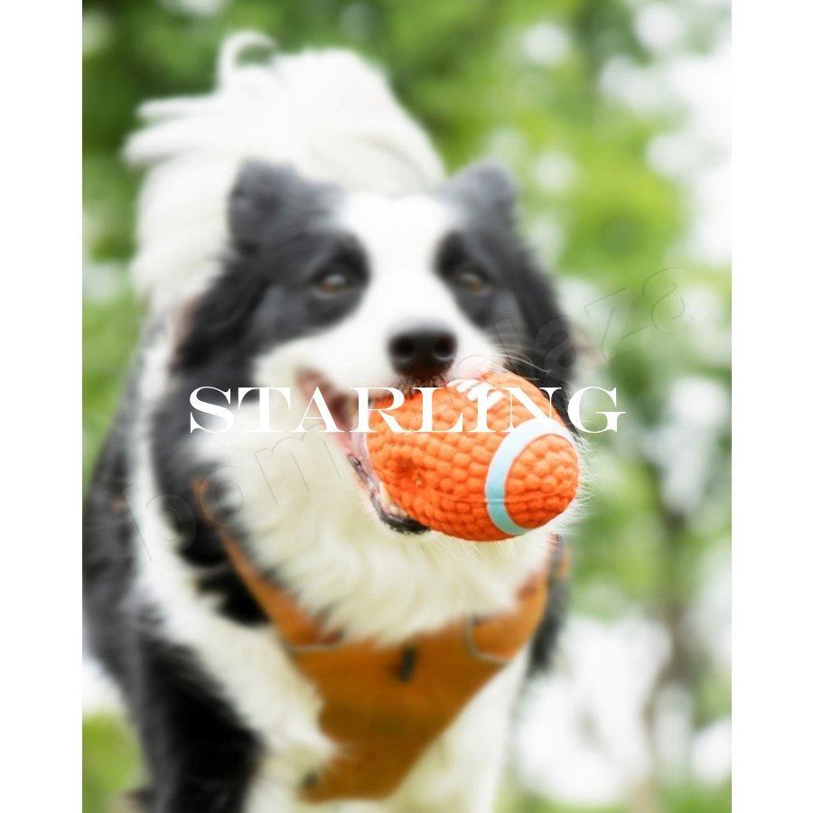 犬おもちゃ 犬用おもちゃ 壊れない 丈夫 噛む ペットのおもちゃ 犬おもちゃボール 犬おもちゃロープ 歯磨きボール トレス解消 噛むおもちゃ 遊び道具 Eg4 Qyg Starling 通販 Yahoo ショッピング