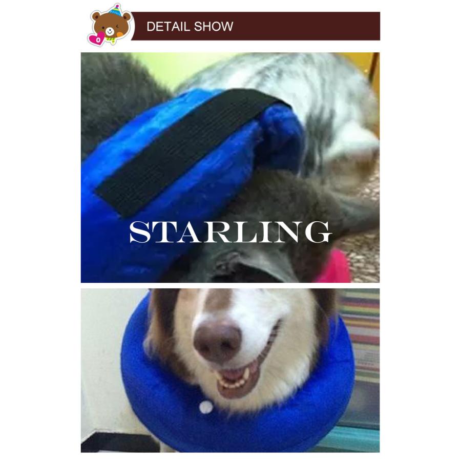 市場 傷口をなめるのを防止 ムーンカラー