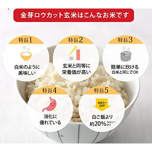 金芽ロウカット玄米(無洗米) 【長野県産コシヒカリ】4kg【2kg×2】 白米感覚で食べる玄米|starprice-store|02