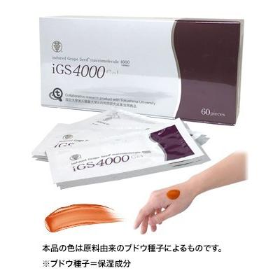 iGS4000Gel 