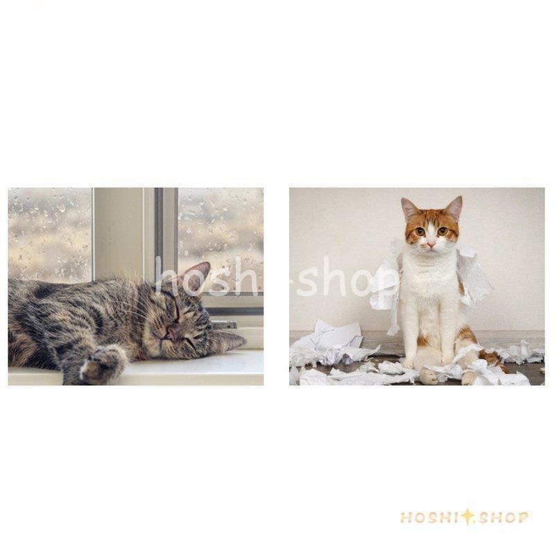 【値下げ⭕️】 ペット用 お家 DH-2 サイズ ドッグハウス 家 ハウス ベッド 部屋 ペット部屋 小屋 ゲージ お洒落 犬 猫 いぬ ねこ 犬小屋 【1837202137】(11227円)