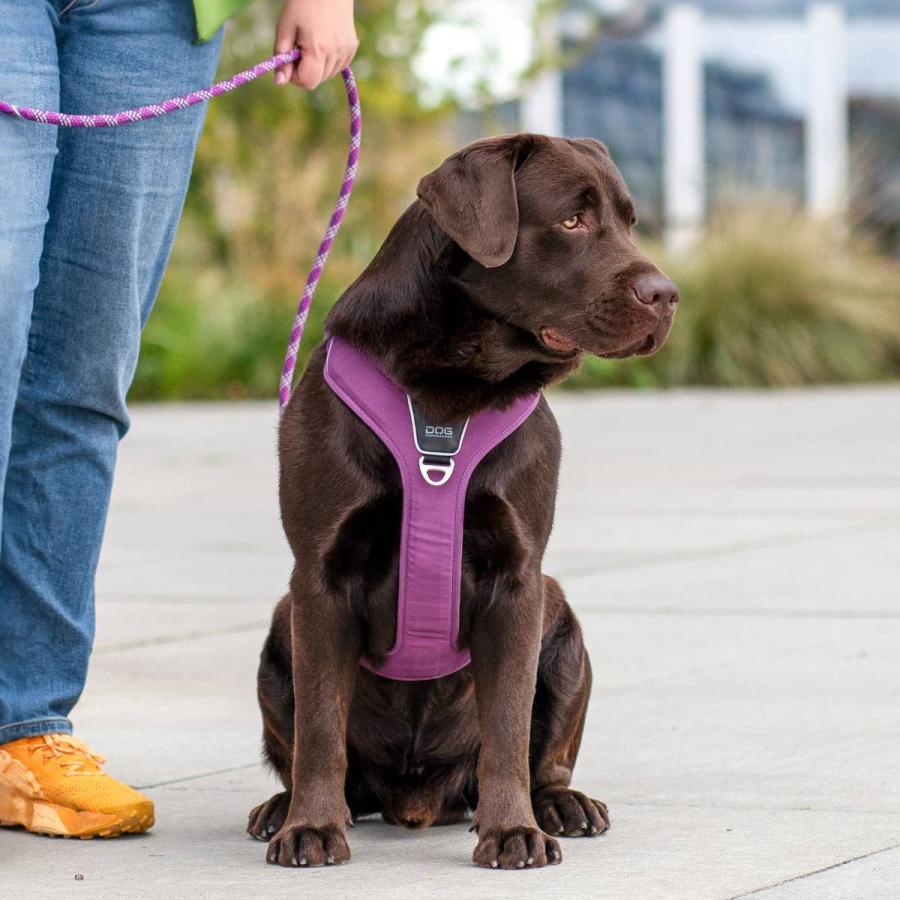 DOG Copenhagen（ドッグコペンハーゲン） 公式 犬 ハーネス 大型犬
