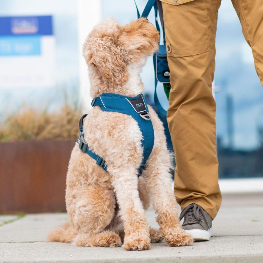 DOG Copenhagen（ドッグコペンハーゲン） 公式 犬 ハーネス 大型犬